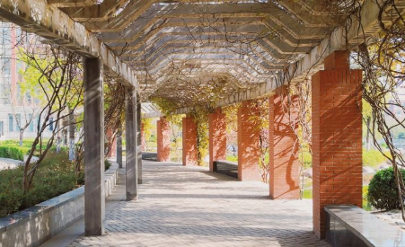 鄭州輕工業大學校園3